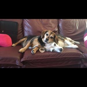 Meet your Posher, Tere